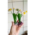 Ромашки. Сувенир СССР.