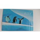 Календарик. Три пингвинов.2024 год