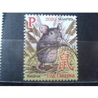 2020 Год мыши**