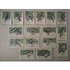 Спичечные этикетки ф.Пролетарское знамя. Певчие птицы. 1966 год