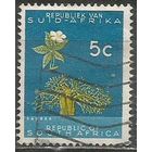 Южная Африка(Республика). Цветы баобаба. 1961г. Mi#293.