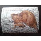 1996 Бобер** Блок