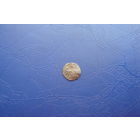 Денарий ранний                              (88)