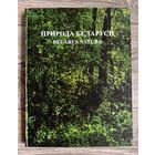 Природа Беларуси. Альбом белорусских мастеров пейзажной живописи.