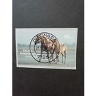 Германия. 2007 Марка из серии "Благотворительный выпуск. Домашние животные" (гашеная с клеем) Mi.2635 отличается от марки Mi.2631 каталог 1.50 евро