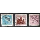 СССР 1960 Рыбы и морские животные.(с наклейками)