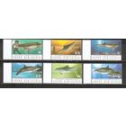 ФФ1 Папуа Новая Гвинея 2003 Дельфины