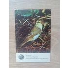 Календарик 1987