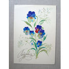 С001 Открытка Поздравляю! Художник Алисова Чистая СССР 1981