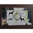 Бурунди 2010г. Собаки.