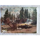 1957. Соколов. Холодный день