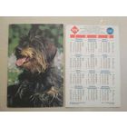 Карманный календарик. Собаки . 1996 год