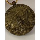 Медаль Национальной армии и обороны Республики Франции