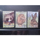 2008 Стандарт, звери