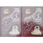 А. С. Пушкин "Сочинения" (Руслан и Людмила. Вадим. Цыганы. Братья разбойники. Кавказский пленник. Полтава. Медный всадник. Гврилиада. Анджело. Домик в Коломне.Евгений Онегин) Подарочное издание 2 тома