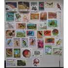 Набор из 39 марок по теме "Природа" без повторов