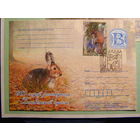 ПК Беларусь. Пуща Налибокская.  СГ 27.11.2014