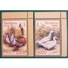 2009 Домашние птицы Беларусь