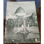 1955 год Москва ВСХВ Фонтан Колос