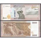 Сирия, 5000 фунтов 2024 г. P118d. UNC