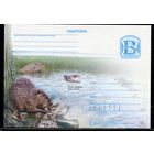 Беларусь 2010. ПК. Бобер