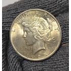 Доллар Мирный 1925 США золотистая патина