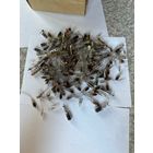 Радиолампы