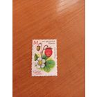 2025 Беларусь флора ягоды (2-3)