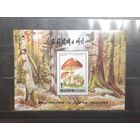 Корея. 1995 год. Флора. Грибы. Блок (1022)