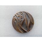 Медаль (тяжёлая)