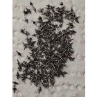 Оси боланса с 1 руб без мц распродажа коллекции