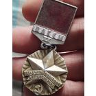 Молодой гвардеец 11 пятилетки