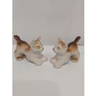 Все лоты с 1р.Животные цена за пару