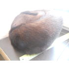 Шапка женская норка 57 раз. Диаметр 17 см.