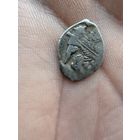 Копейка. Чешуйка.