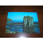 Командорские острова Остров Беринга 1982 год чистая