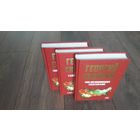 Рок возомнивших себя богами. Тайный проект вождя. Сияние высших богов и крамешники