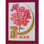 1 Мая! Белорусская открытка. Дубовицкая ( Дубавицкая ) 1969 г. Чистая.
