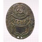 Жетон Лесник РСФСР