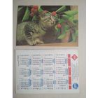 Карманный календарик.Кошки.1995 год