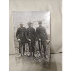 Фото польских солдат