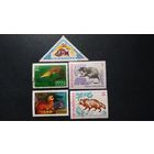 Фауна \47фа\ фауна енот соболь