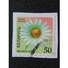 Беларусь 2002 год. Флора.