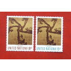 США. Нью-Йорк. ООН. Живопись. ( 2 марки ) 1972 года. 7-13.