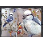 Беларусь 2022. Птица года. Синица. 1марка+купон (1180)