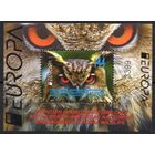 Македония 2021. EUROPA. Фауна птицы филин блок  (952)