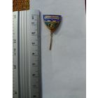 Значок ZG завод Жальгирис