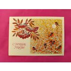 С Новым Годом! Подписанная. 1988 года. Базаров. 251.