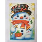 Борисова редкая снеговик