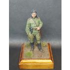 Оловянный солдатик